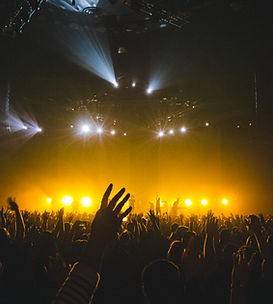 Concert Crowd Scene