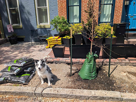 Tree Planting 2026.jpg