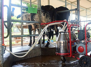 Secuencia 01.00_03_44_00.Imagen fija099.jpg