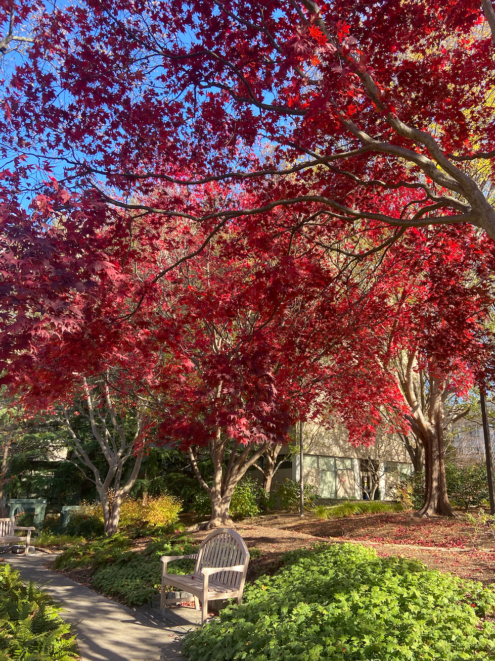 Screen Shot 2025-02-12 at 10.04.51 PM.png