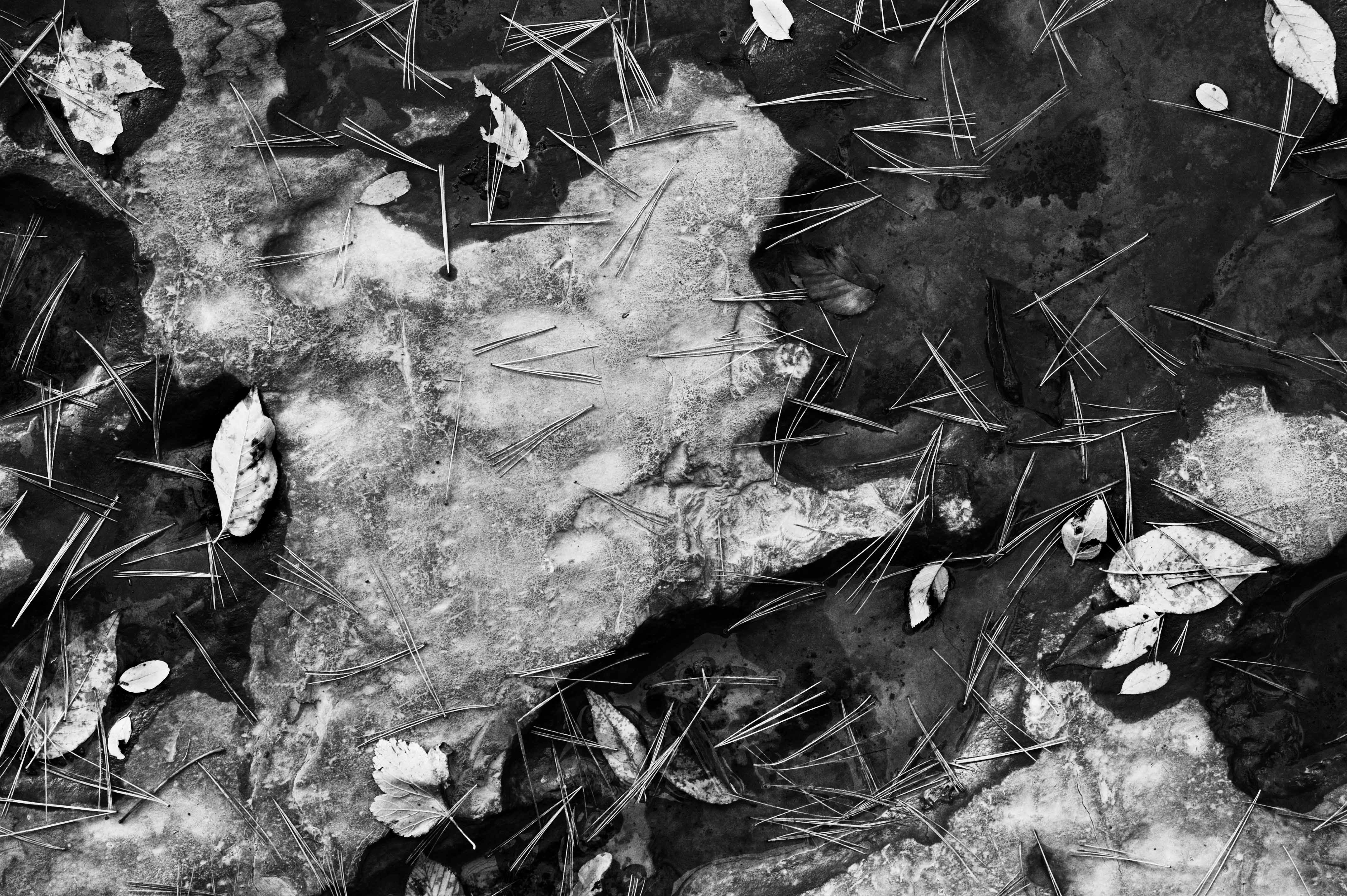 83 ULYSSES, NY - TAUGHANNOCK FALLS STATE PARK