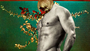 I kissed a boy and I liked it!