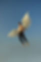 I can't fly