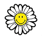 sunflower.png