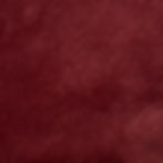 Red Velour.JPG