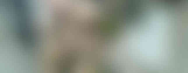 Oberschütze Kreuz před pochodem