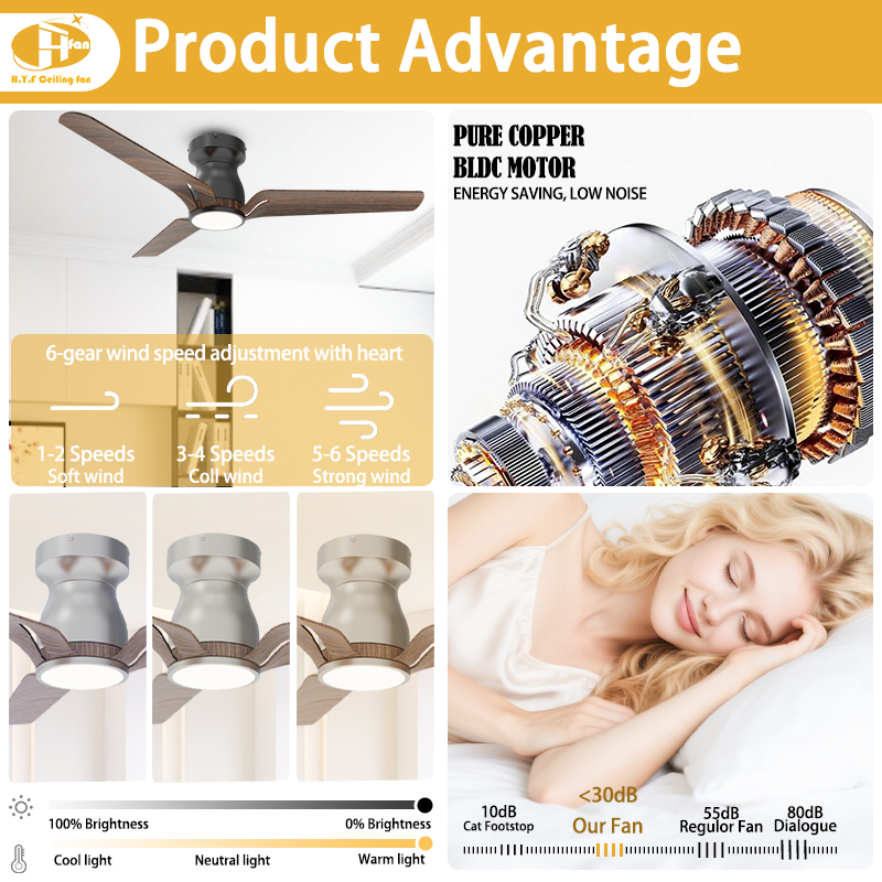 Low Profile Ceiling Fan with LED Light and Remote - ABS Blades