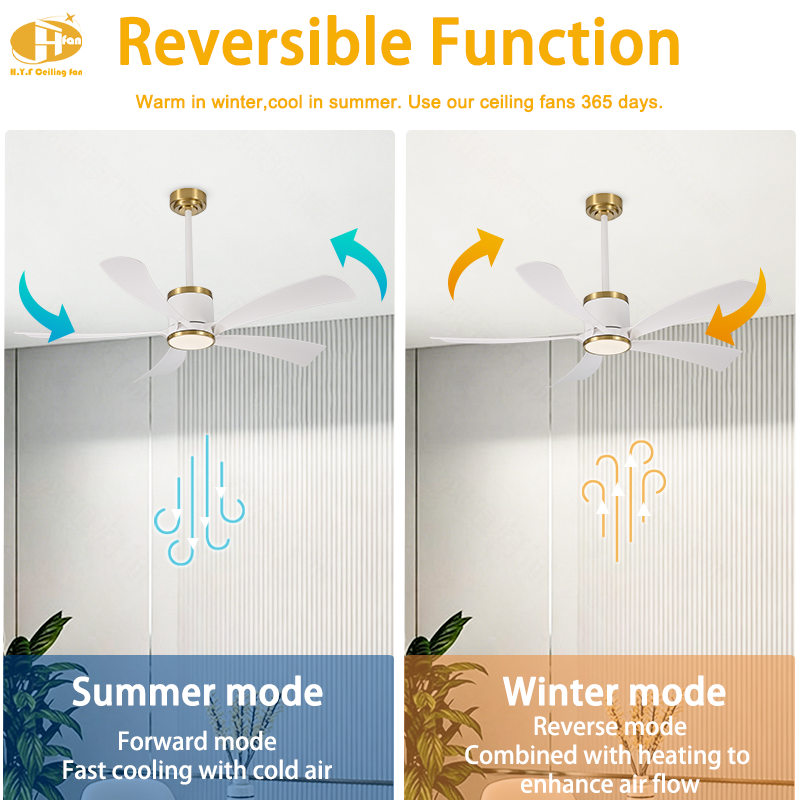 Black or White Ceiling Fan with Light - 5 ABS Blades and Gold Trim