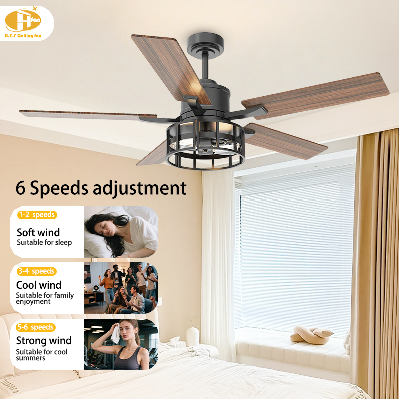 Modern Ceiling Fan and Light with Enclosed Lamp Housing for Loft Interior