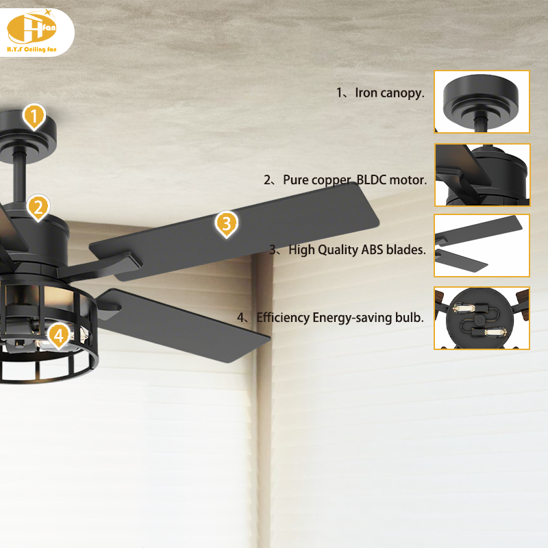 Modern Ceiling Fan and Light with Enclosed Lamp Housing for Loft Interior