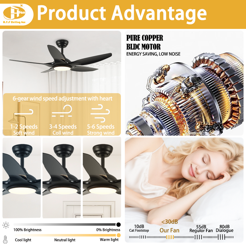 Silver or Matte Black ABS Ceiling Fan with Dimmable LED Light and Remote