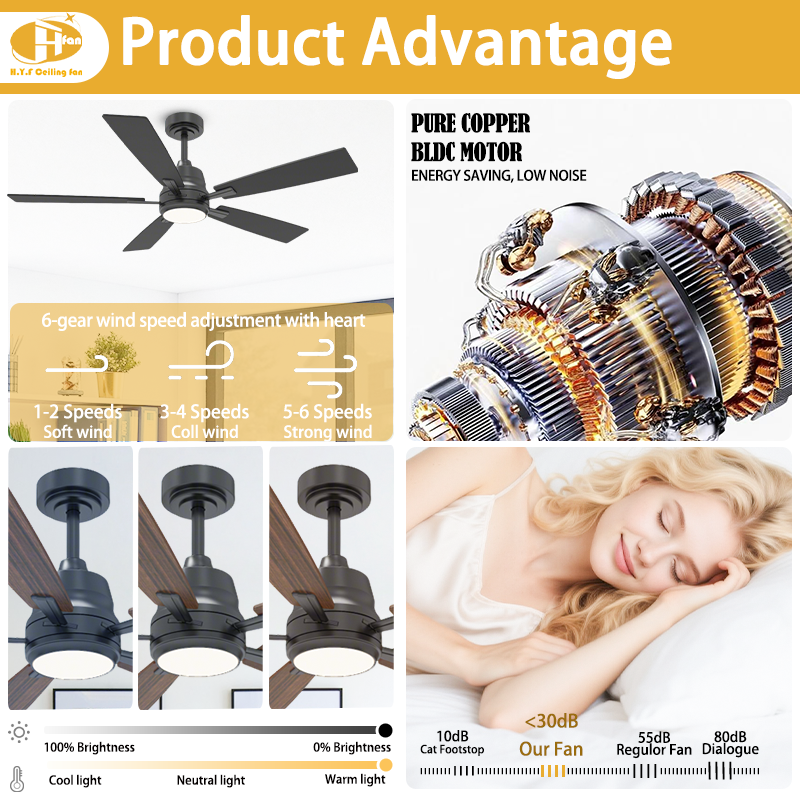 ABS Ceiling Fan with LED Light, Reversible DC Motor and Remote