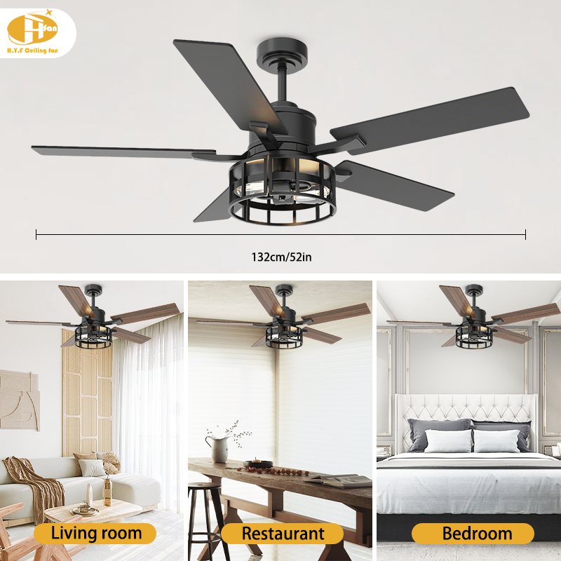 Modern Ceiling Fan and Light with Enclosed Lamp Housing for Loft Interior