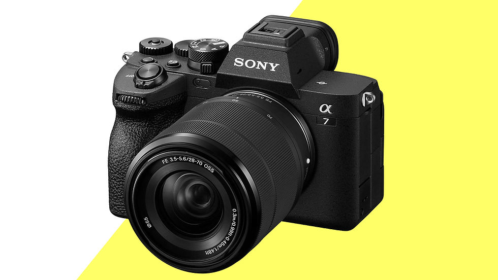 CAMARA.jpg
