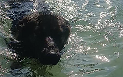 Capture d’écran 2025-09-02 092652.png