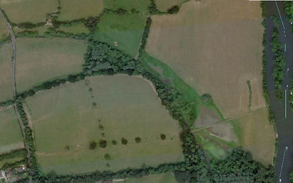 image10.jpeg
