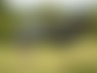 7 African Safari Tips for Planning Your Trip