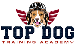 Top Dog Training Academy | New Orleans, Louisiana