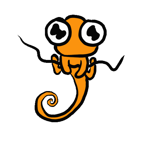 IMG_3214.GIF