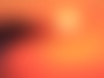 8月キャンペーン情報