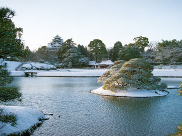 １月・お客様喜びの声