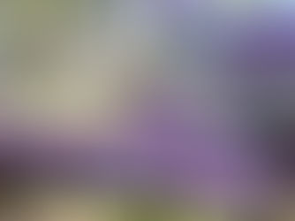 5月お客様喜びの声