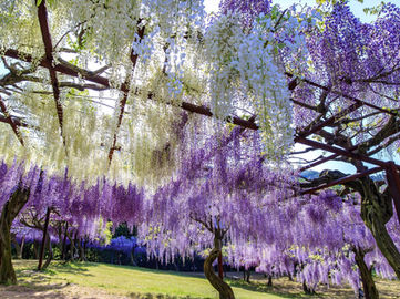 5月お客様喜びの声