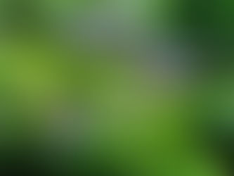6月・お客様の声