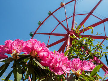 5月・お客様喜びの声