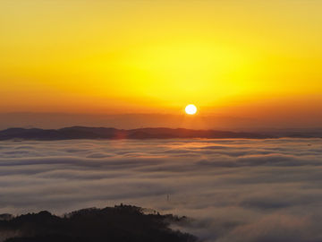 11月度お客様喜びの声
