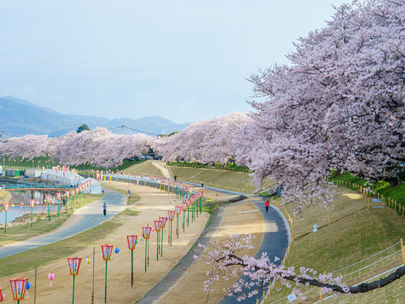 4月お客様喜びの声