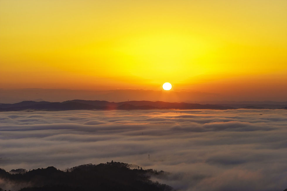 １２月お客様喜びの声
