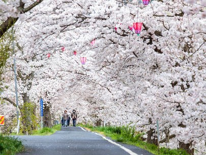 4月・キャンペーンのお知らせ