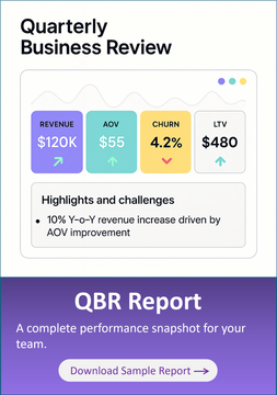 Sample QBR Report