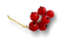 Красная смородина