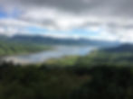 1000 Shades of Green