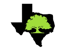 Texas Hill Country Trees