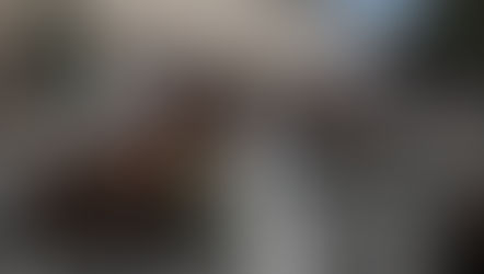 GALIMA BRICS PLĖTRA DEMOKRATINIAM PASAULIUI NIEKO GERO NEŽADA (2023 08 22)