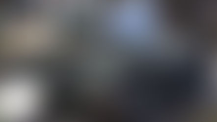 BERLYNAS PRAREGI: RUSIJA DERĖSIS TIK PRALAIMĖJUSI (2024 01 26)