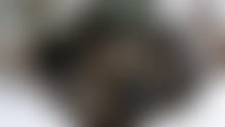 RUSIJA SIEKIA SUARDYTI VAKARŲ VIENYBĘ (2023 12 09)