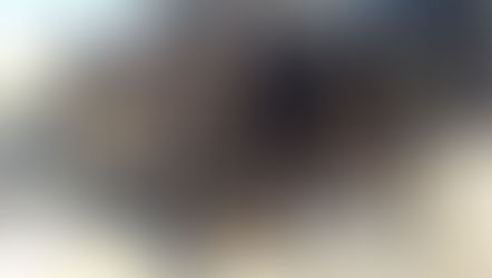 MINTYS PARADAMS PRAŪŽUS: KAM TURIME RUOŠTIS?