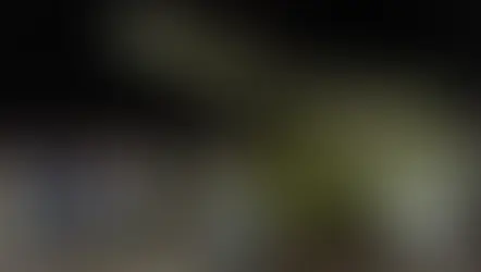 JK SAUGUMO GARANTIJOS UKRAINAI - MIRTIS KREMLIAUS GALVAŽUDŽIAMS (2024 01 13)