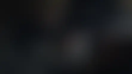 AŠTUONIOLIKA VOKIETIJOS TANKŲ JAU UKRAINOJE (2023 03 28)