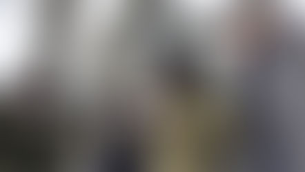 THE COLLAPSE OF THE PUTIN REGIME