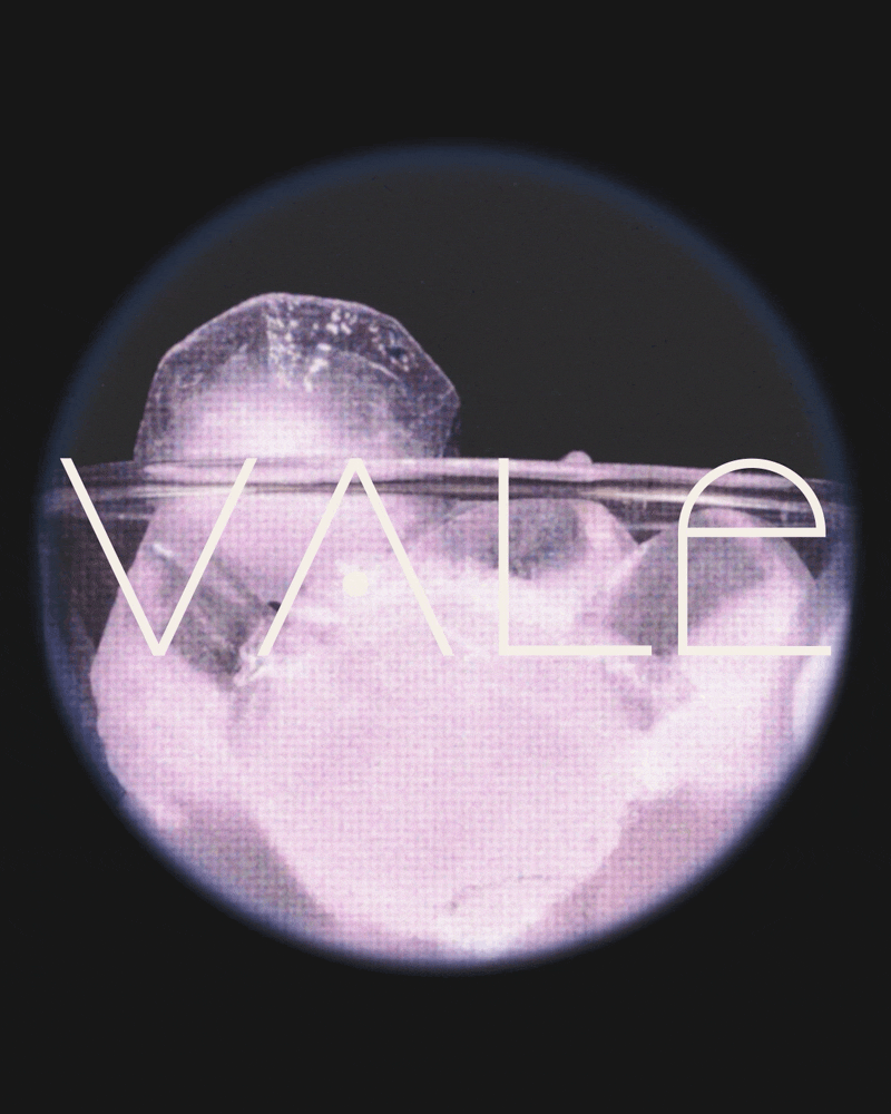 2025-March_LSCO_IG_IntroducingVale_01.gif