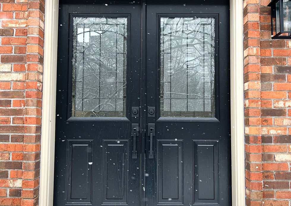 Stainless Steel French Door in Black