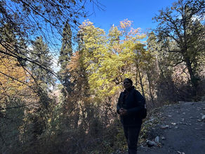 Activities that connect you with Nature