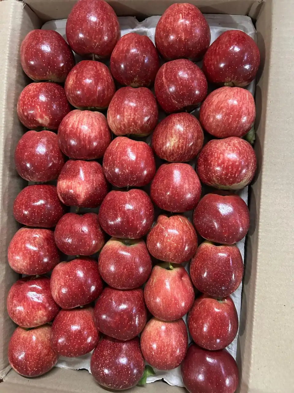 Apple Box