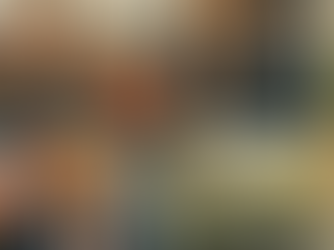 Senators Shot, System Shaken — What Now?