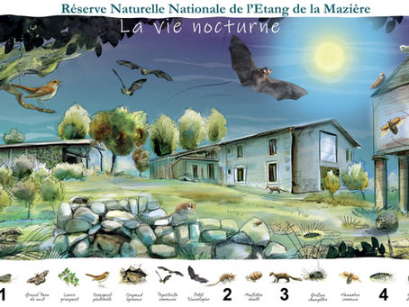 Posters : Jeu concours